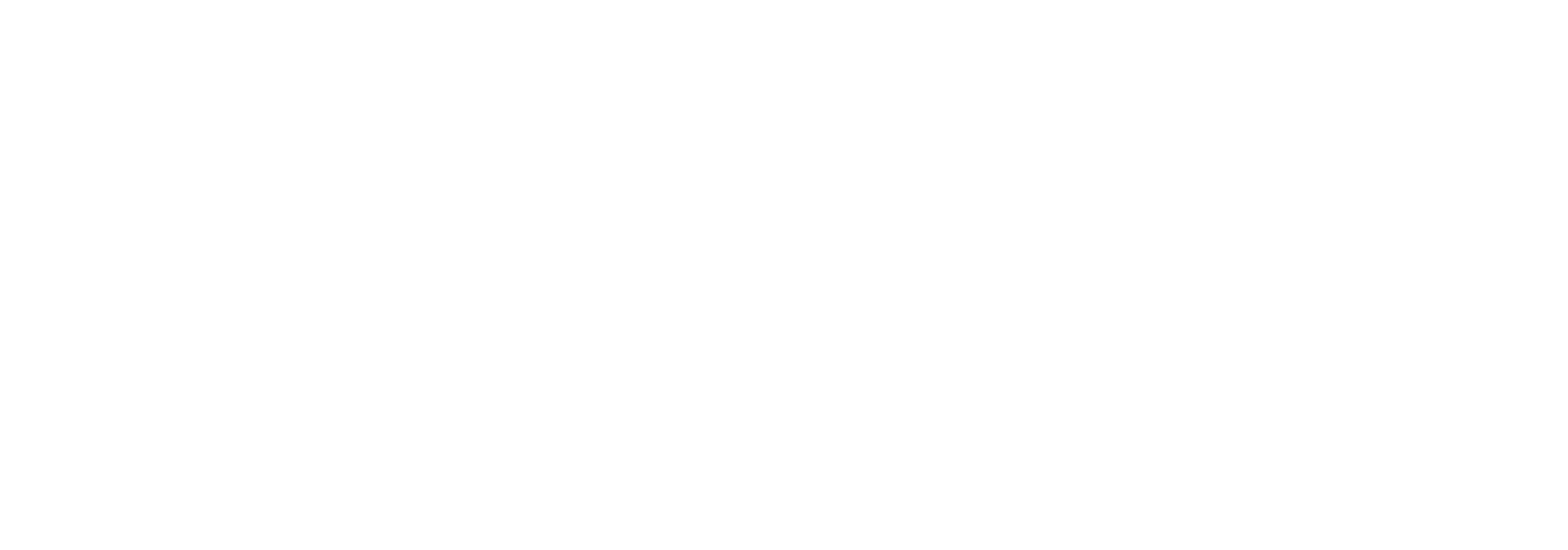 Top Partners Ranocchi Zucchetti